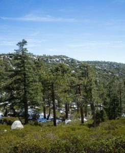 sierra san pedro martir sm