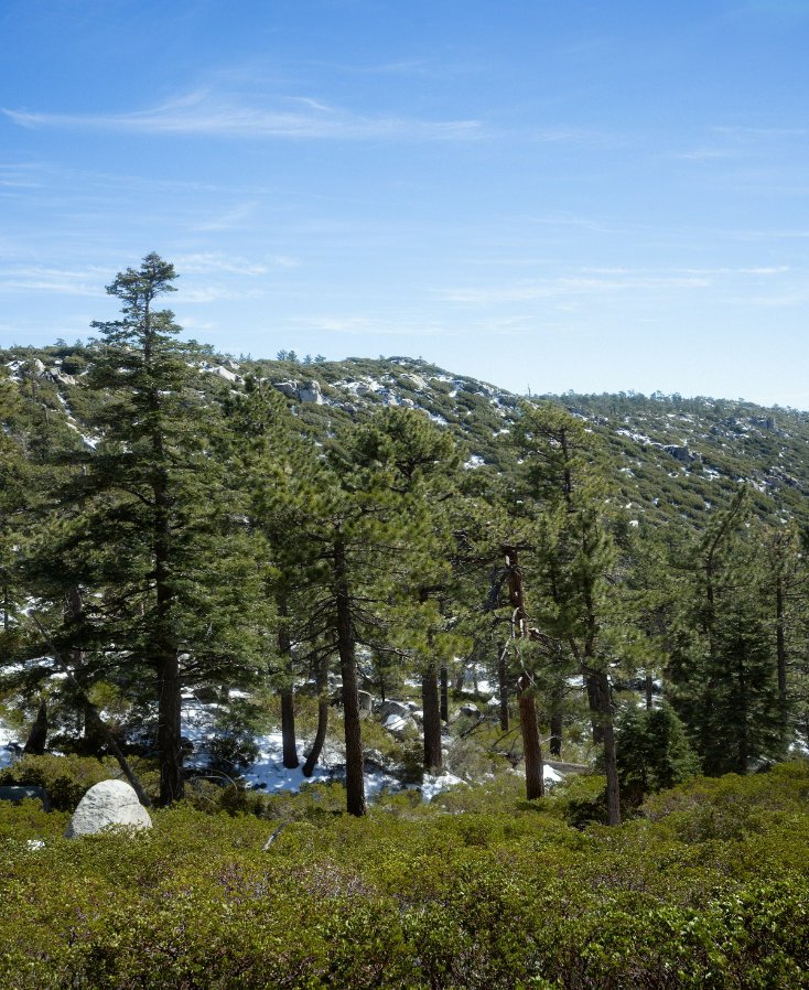 sierra san pedro martir sm