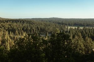 sierra san pedro martir wd