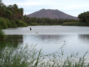 San Ignacio Baja California sur