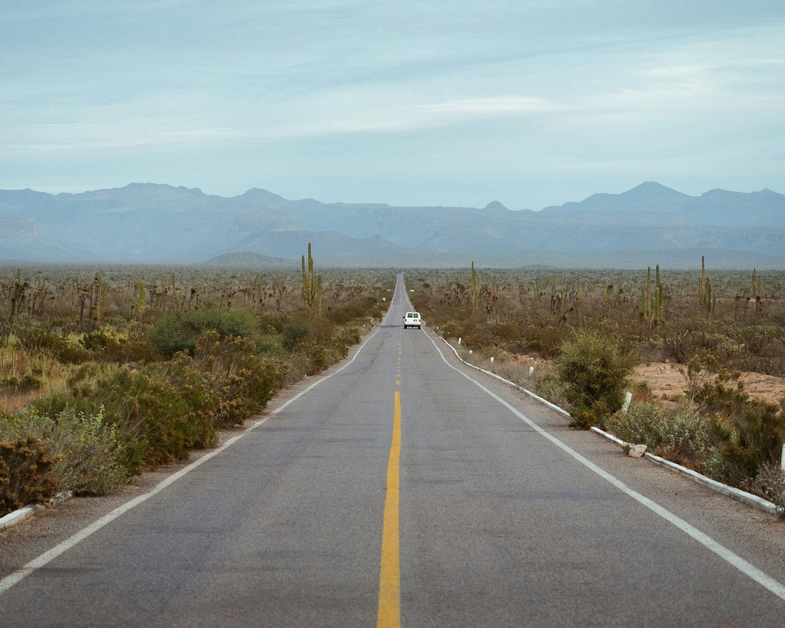 Camino para bahia de Los Angeles